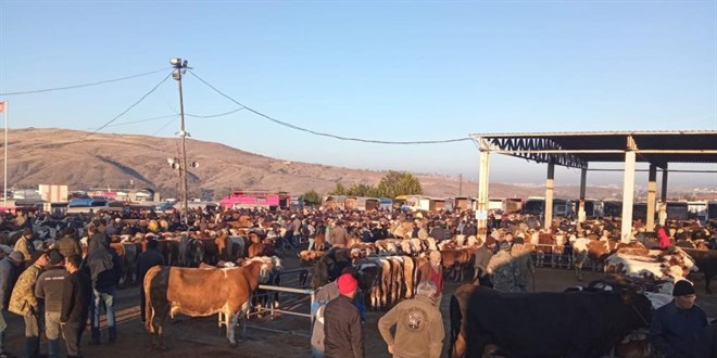 Yozgat'ta  ilede hayvan pazarlar geici olarak kapatld