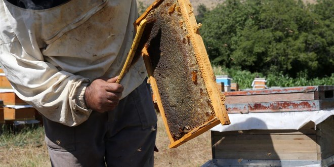 Bitlis bal tescillendi