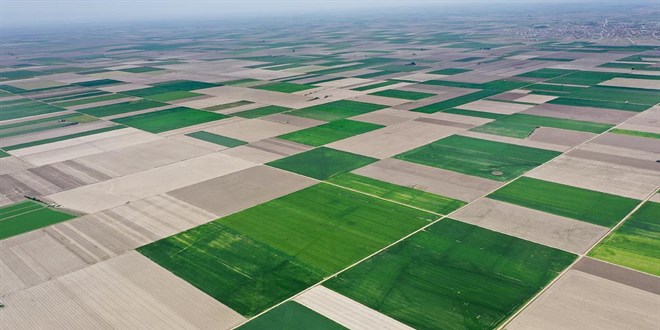 Yeni KOP Eylem Plan Konya Ovas'n drt koldan canlandracak