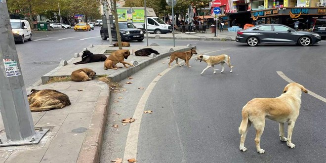 Babo kpei sokaa geri brakan belediyeye 71 bin lira ceza uygulanacak