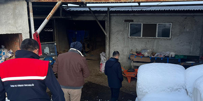 Zonguldak'ta ap hastal phesiyle bir kyde karantina balatld