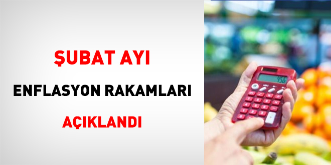 ubat ay enflasyon rakamlar akland