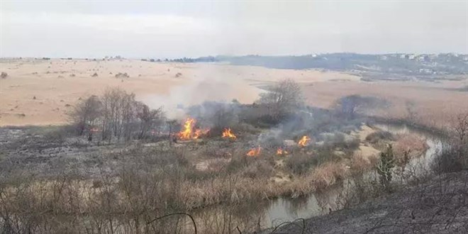 Sakarya'da balayan yangn Kocaeli'ye srad