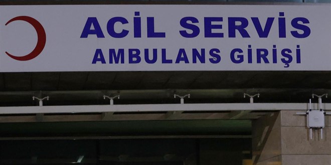 Rize'de arının soktuğu kişi hayatını kaybetti