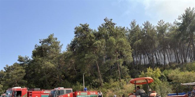 Orman yangınının sebebi yine 'Kaynak makinesi'