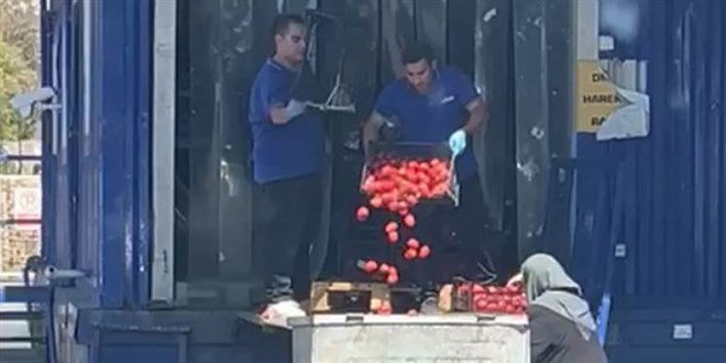Domateslerin çöpe döküldüğü markette Bakanlıktan denetim
