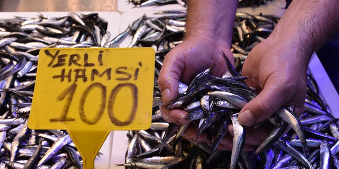Hamsi kilogramı 100 liradan tezgahlardaki yerini aldı