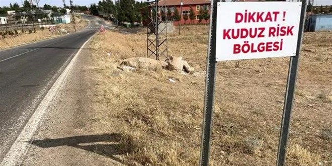 Türkiye'nin 'kuduz' ayıbı! Yılda 500 bin kişi aşı oluyor