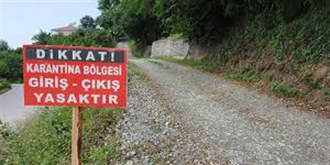 Aydın'da 'şap hastalığı' nedeniyle 34 mahalle karantinaya alındı