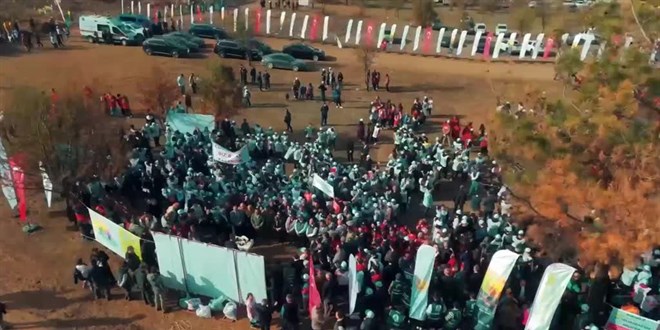 11 Kasım Milli Ağaçlandırma Günü'nde 'Çifte Rekor' Kırıldı - Memurlar.Net