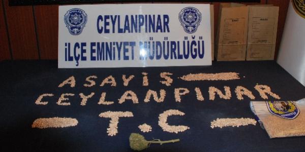 Ceylanpnar'da uyuturucu operasyonu