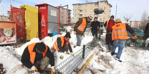 Zemheride iek dikiliyor