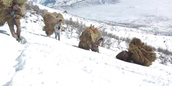 Hakkari'de dadan ot tama ilesi