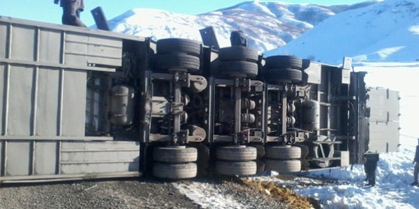 Bitlis'te trafik kazas: 4 inek telef oldu