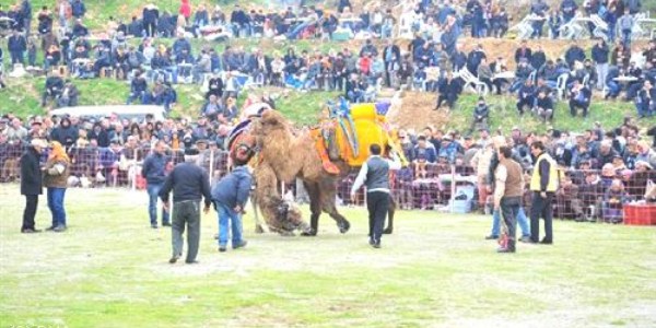 Bornova'da deve grei bulumas