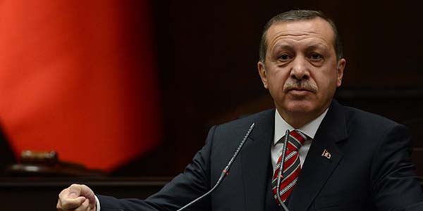 Erdoan,  Anadolu milletvekilleriyle grt