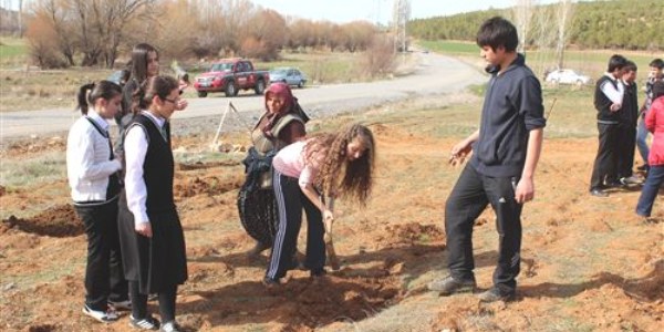 Beyehir'de renciler fidan dikti