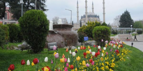 Edirne'de lale devri