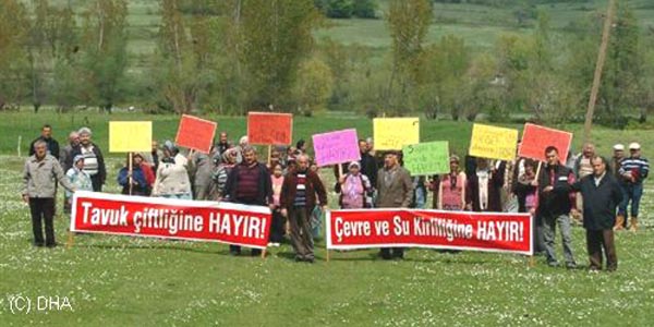 Kyde tavuk iftlii protestosu