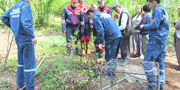 Kdz. Ereli tfaiyesinden domuz kurtarma operasyonu