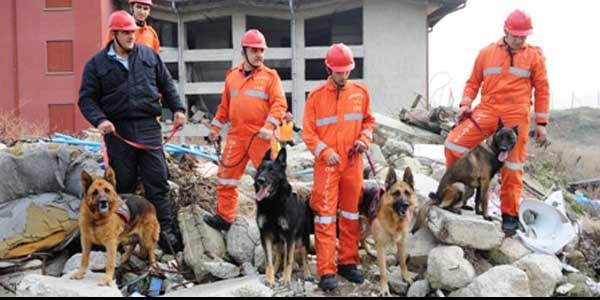 Hayat kurtarmak onlar iin oyunun paras