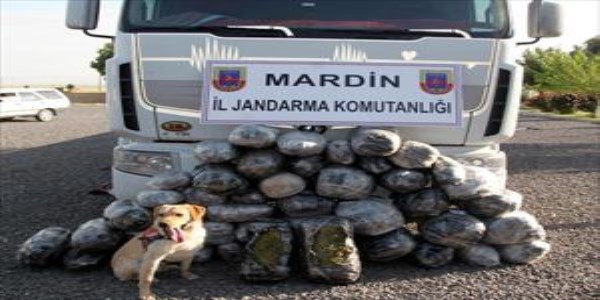 Mardin'de 170 kilo esrar ele geirildi