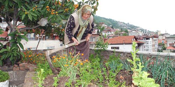 30 yldr terasn ekip biiyor