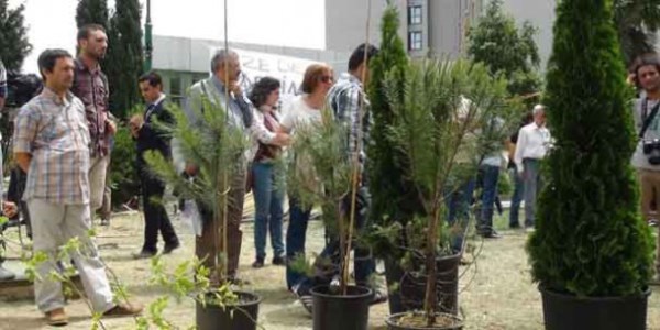 Gezi Parkna fidan diktiler