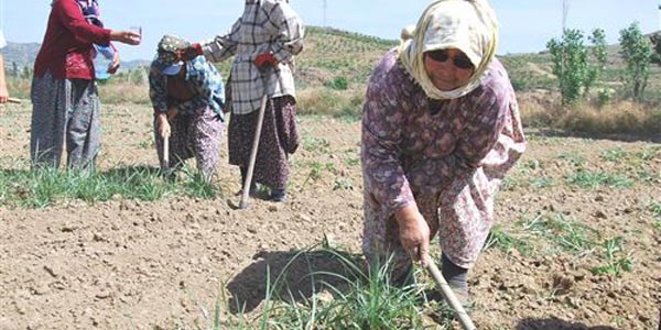 Beyhan nine saln apasna borlu olduunu syledi