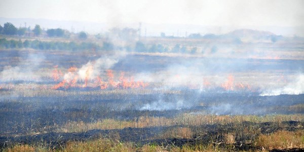 Anz yangnlar evreyi tehdit ediyor