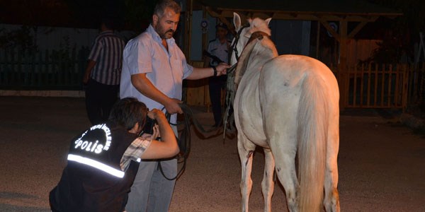 Atn sran kpekten ikayeti oldu