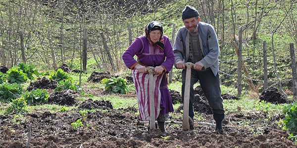 Krsal nfusta azalma ve yalanma eilimi var