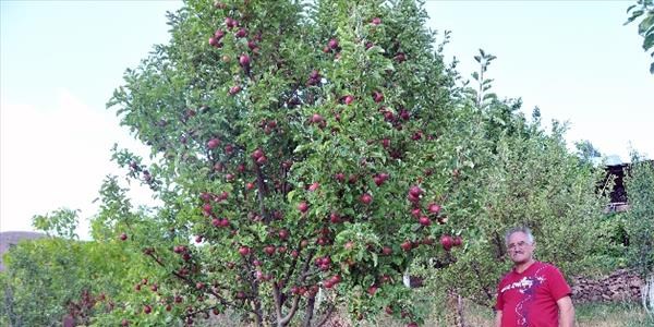 Gmhane elmas kllerinden douyor