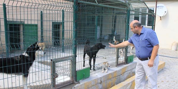 Evlerde baklan kpeklerin belediyeye kaydettirilmesi gerekiyor