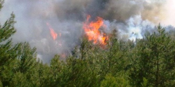 Meteorolojiden orman yangn riski uyars