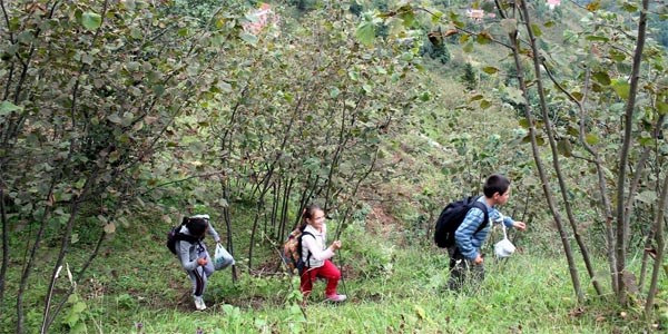 Minik rencilerin okul yolu ile dolu