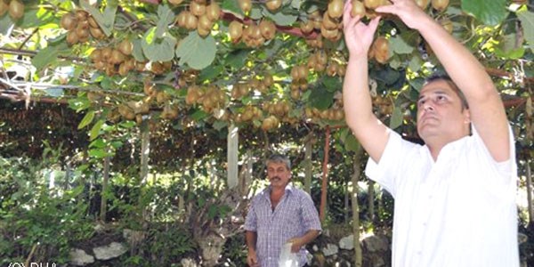 Alanya'da iki ky kivi retim merkezi oldu