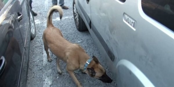 Polis kpei 'Mendi' kaak silahlar buldu