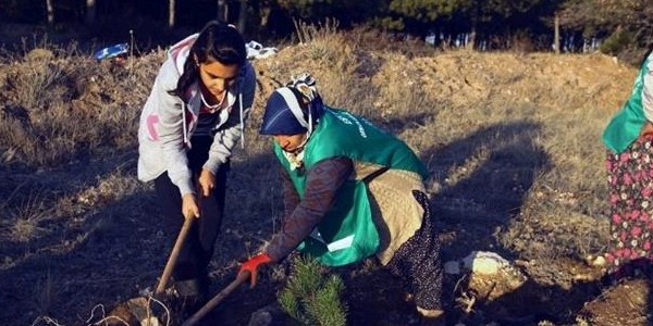 Eskiehir'de ilkokul rencileri fidan dikti