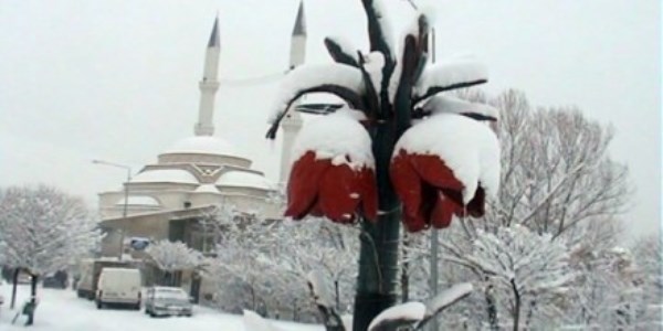 Van ve Hakkari'de niversitelere kar tatili