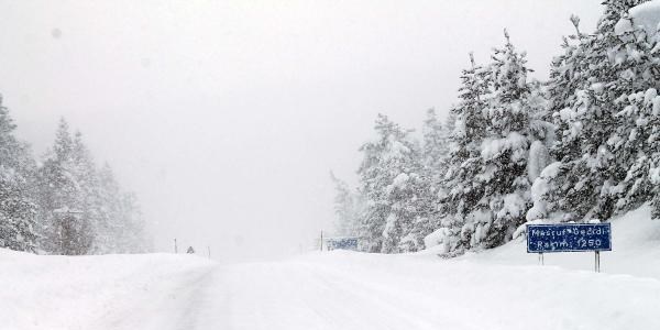 487 kyn yolu kardan kapal