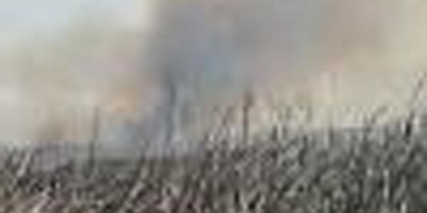Gksu Deltas'ndaki yangna mdahale edilemiyor