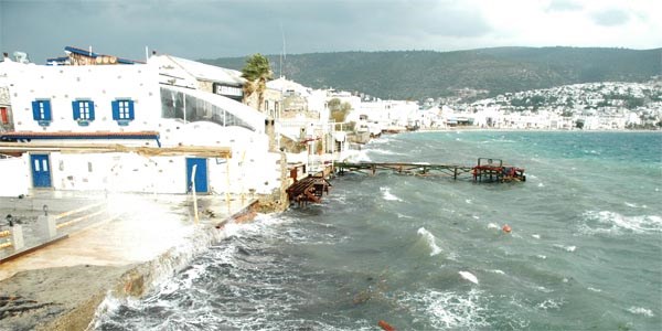 Bodrum'da lodos hayat fel etti