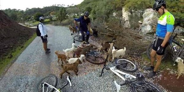 Olaklar yolu kapatt bisikletiler keyifli anlar yaad