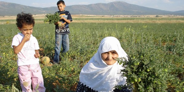 Ktahya nohut retiminde Ege'nin ikincisi