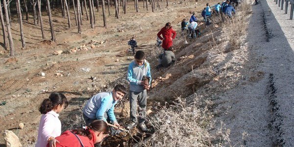 Mersin karayollarna 15 bin fidan dikildi