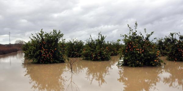 Manavgat'ta sel nedeniyle ky yolu kapand