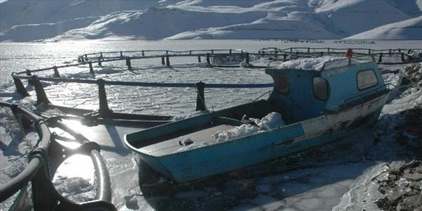 Van'da sibirya souklar