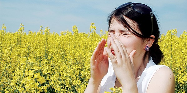 Bahar alerjisi astm nedeni