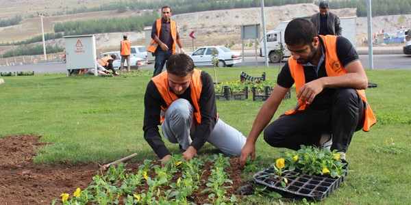 'Taeron' itiraz tasar deitirdi